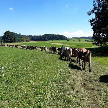 Roesslerhof Ferienwohnung Roesslerweiher Schlier Zewnętrze zdjęcie