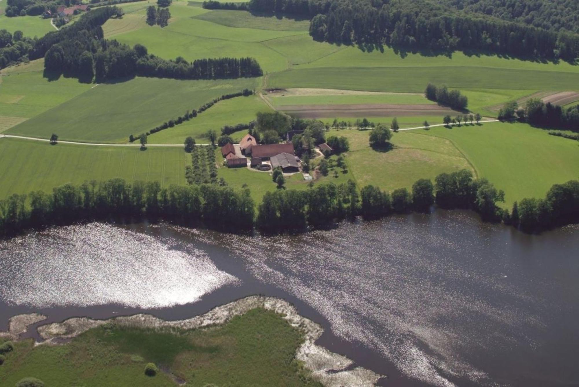 Roesslerhof Ferienwohnung Roesslerweiher Schlier Zewnętrze zdjęcie